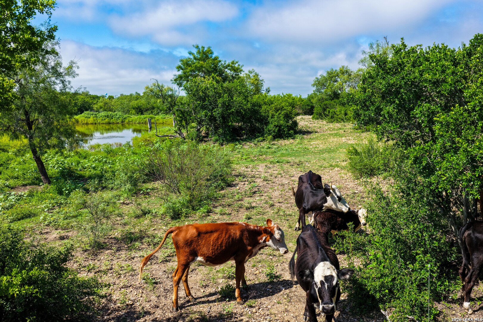 000 Private Road 5754 Castroville TX 78009