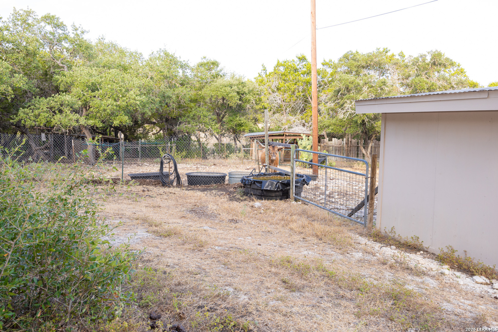 315 Private Road 235 Hondo TX 78861