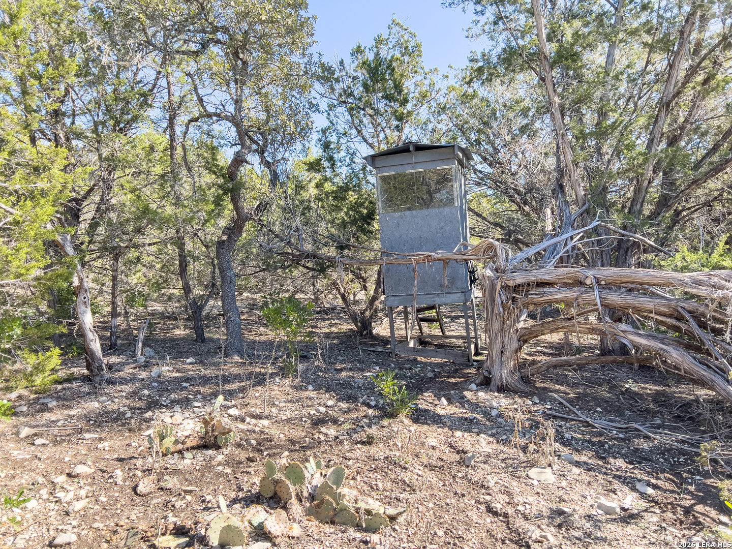 315 Private Road 235 Hondo TX 78861