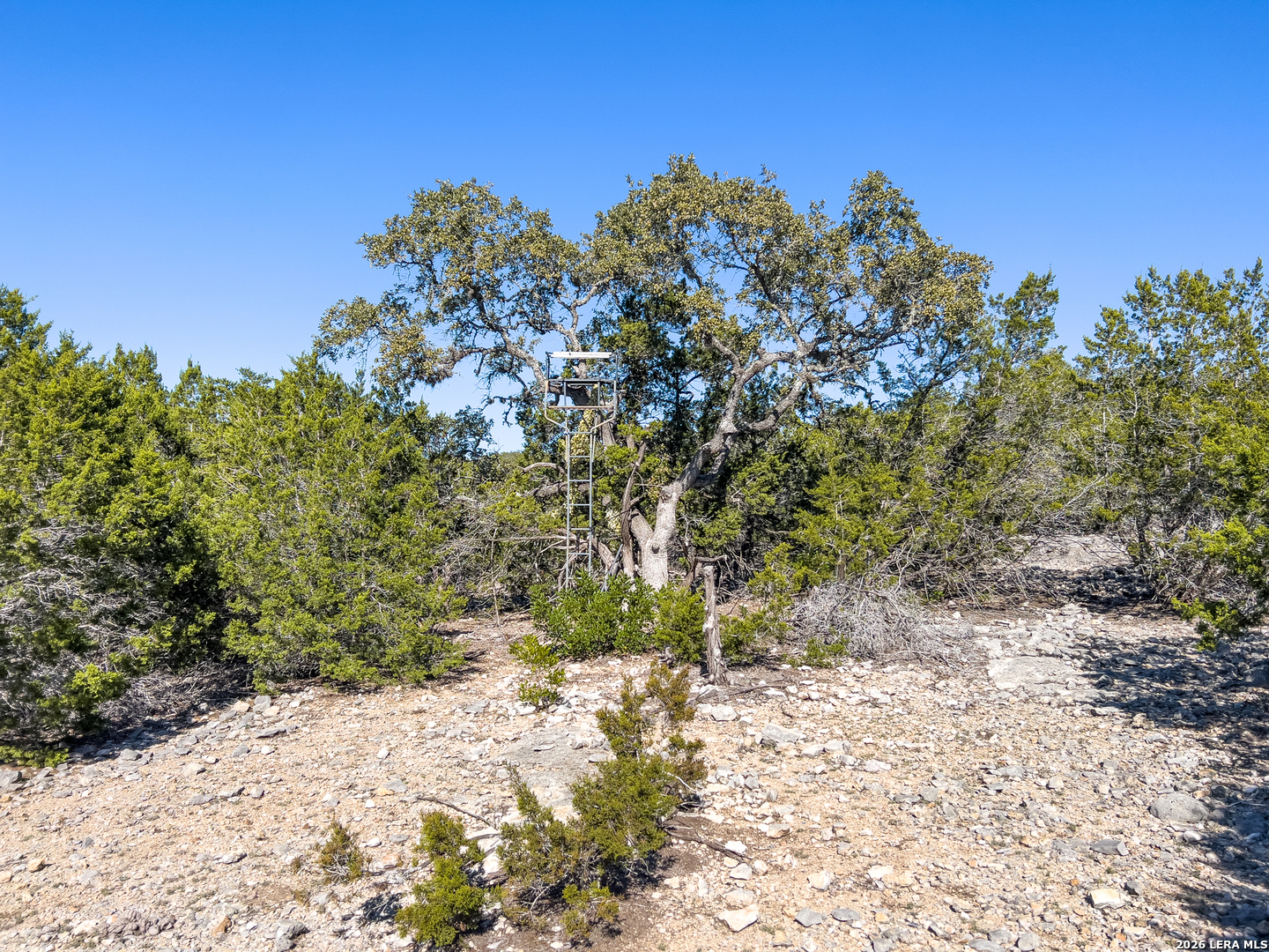 315 Private Road 235 Hondo TX 78861