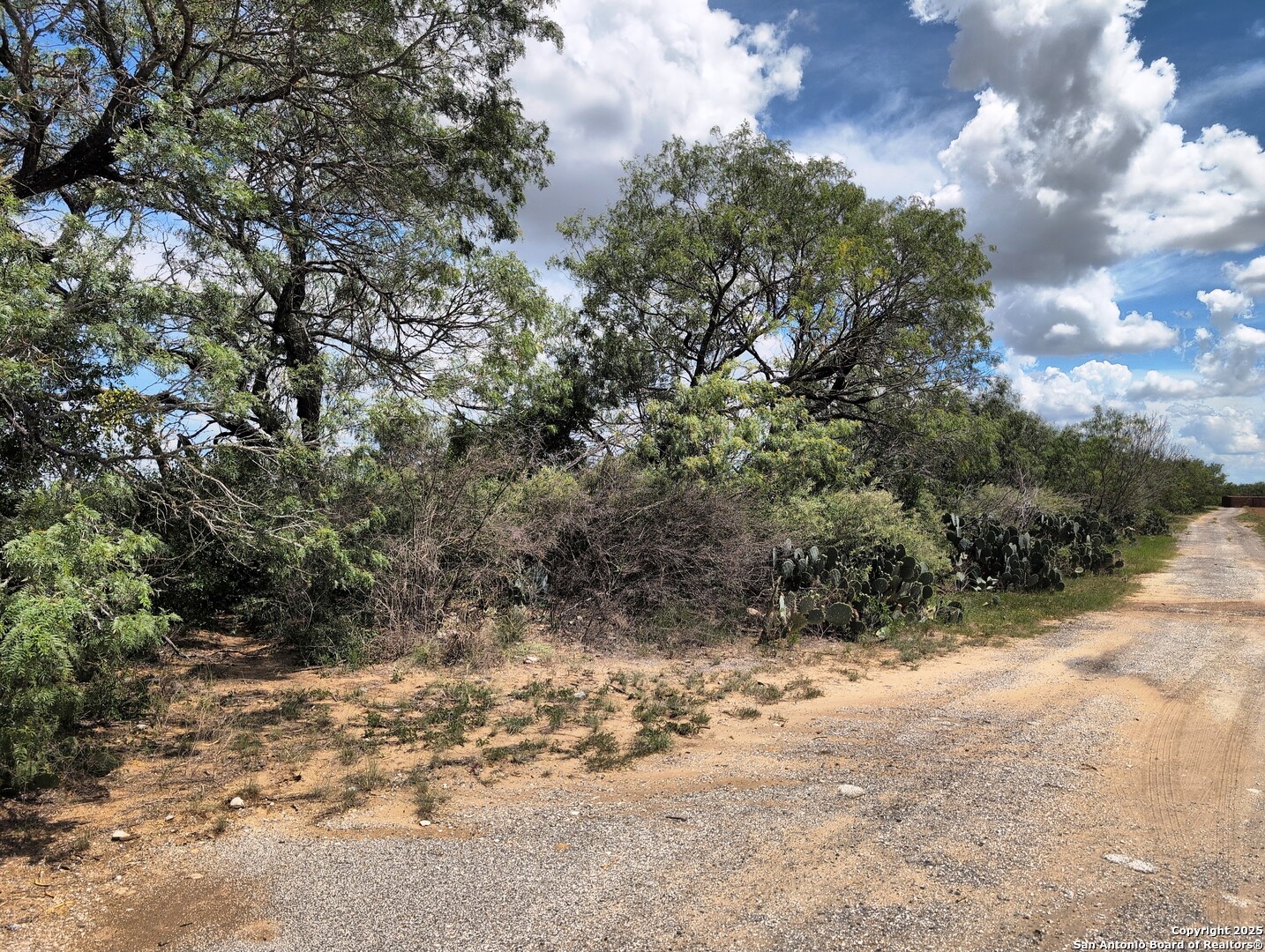 125 Acres Cooksey Road Adkins TX 78101