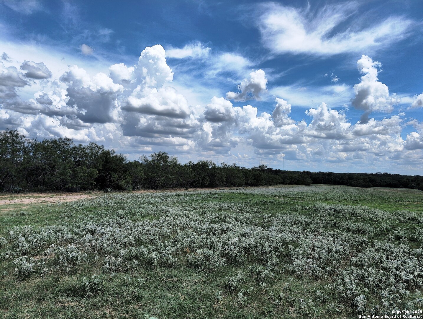 125 Acres Cooksey Road Adkins TX 78101