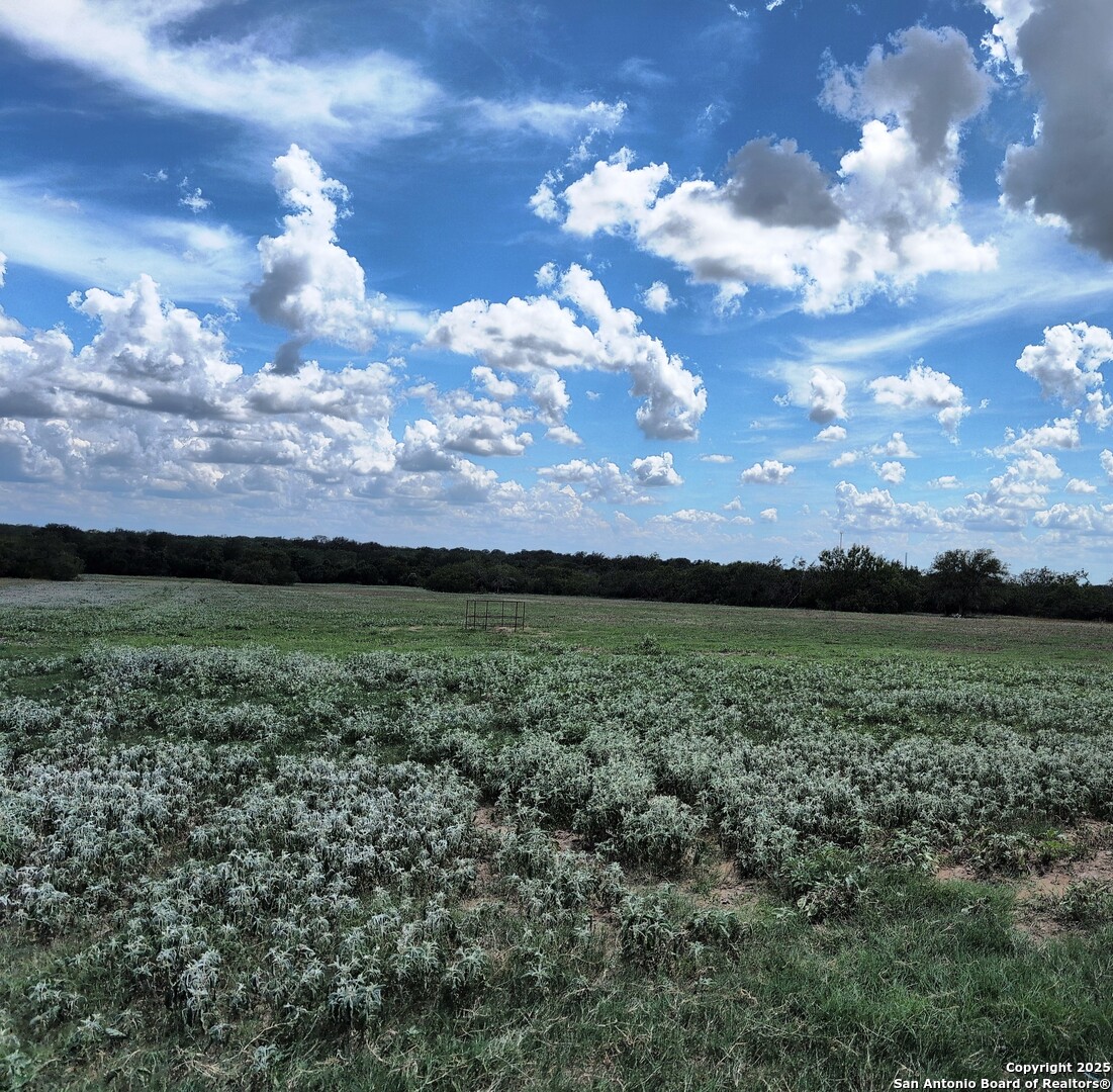 125 Acres Cooksey Road Adkins TX 78101
