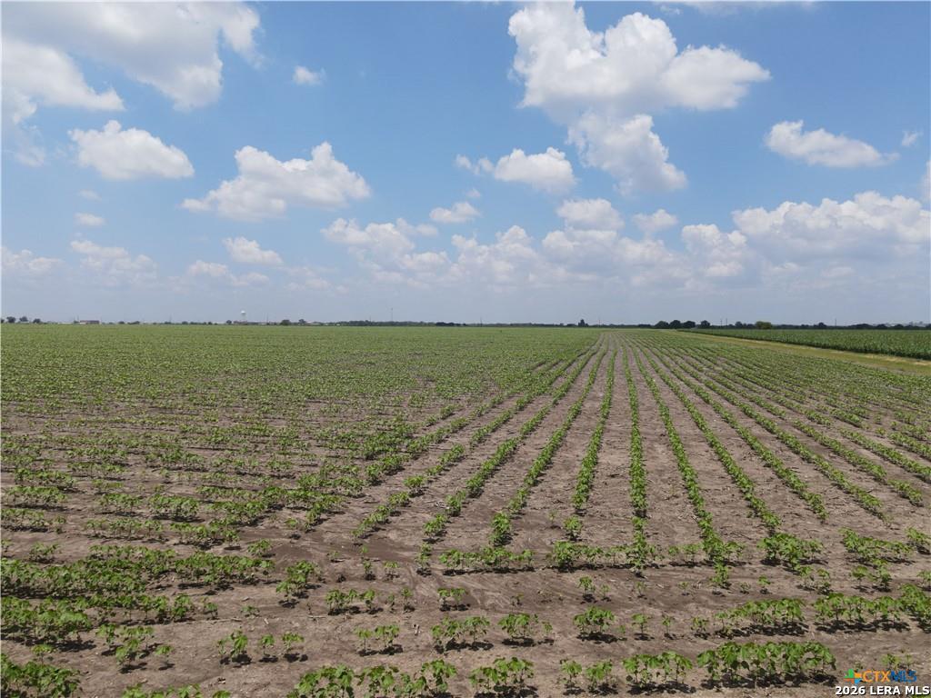 Tbd Willmann Seguin TX 78155