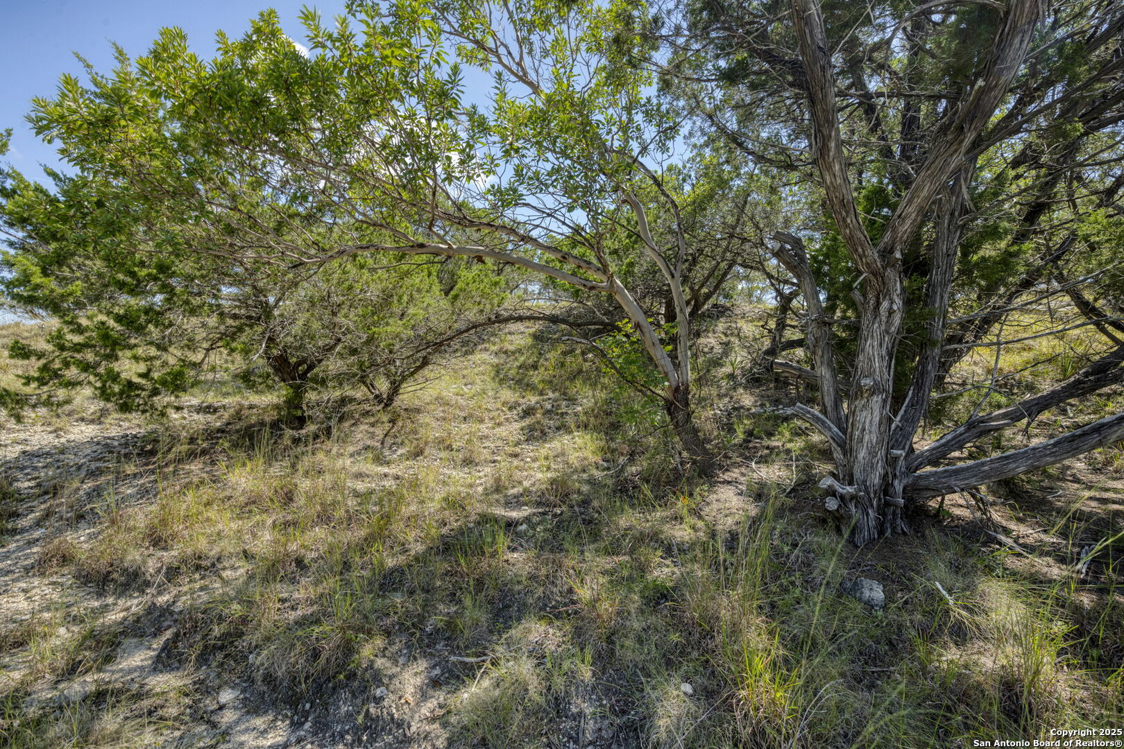 305 Spanish Pass Boerne TX 78006