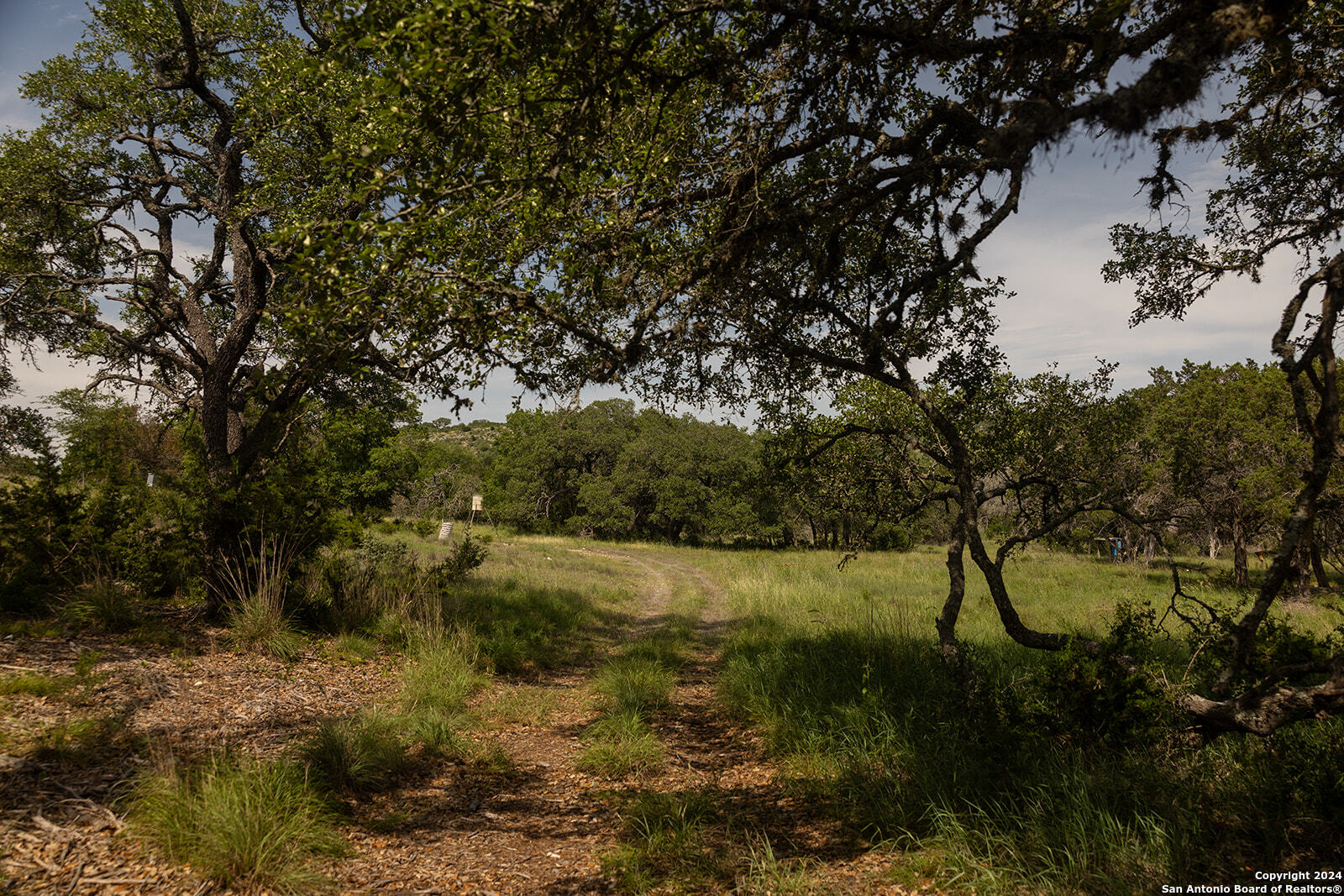 140 Twin Springs Road N Kerrville TX 78028