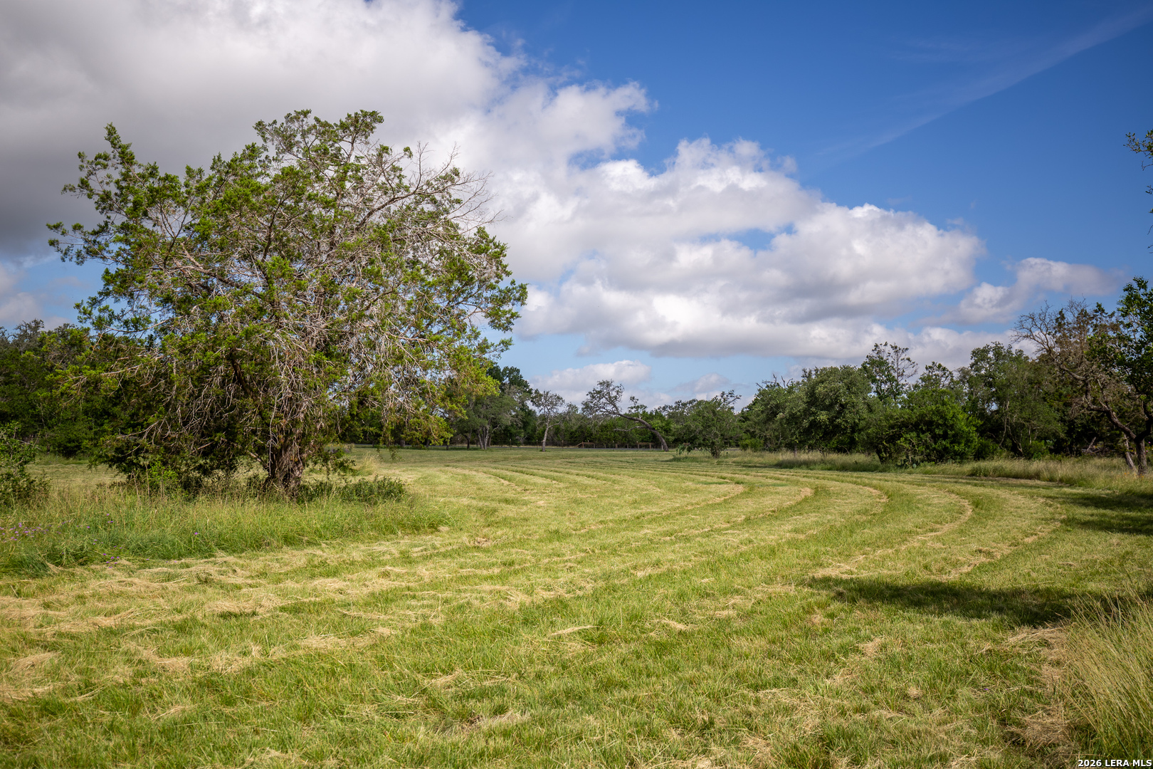 395 Bluff Creek Center Point TX 78010