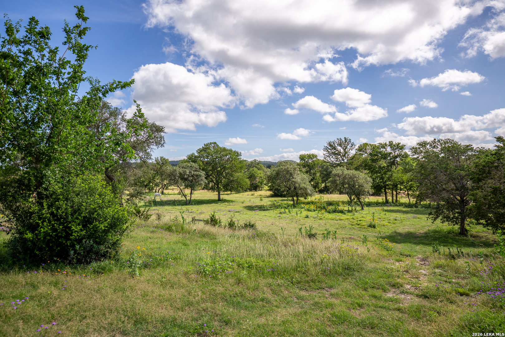 395 Bluff Creek Center Point TX 78010