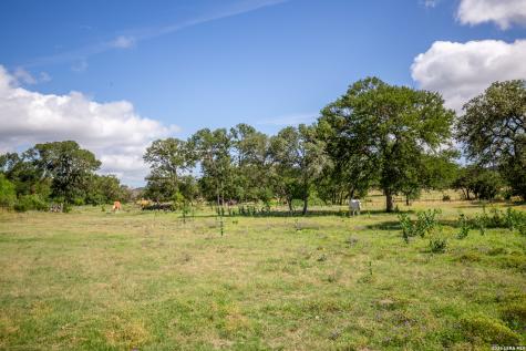 395 Bluff Creek Center Point TX 78010