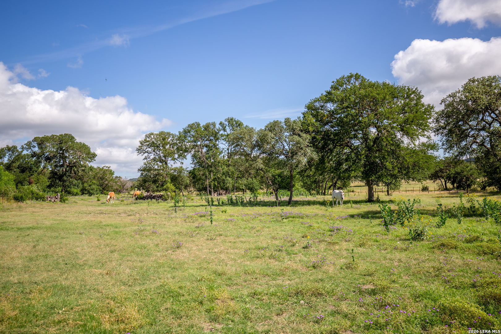 395 Bluff Creek Center Point TX 78010