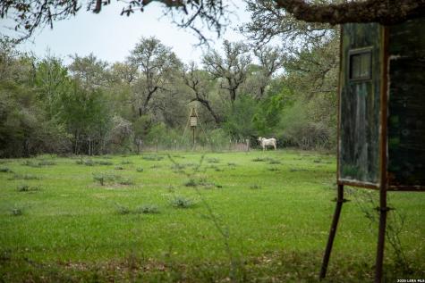 0 Golly Cuero TX 77954