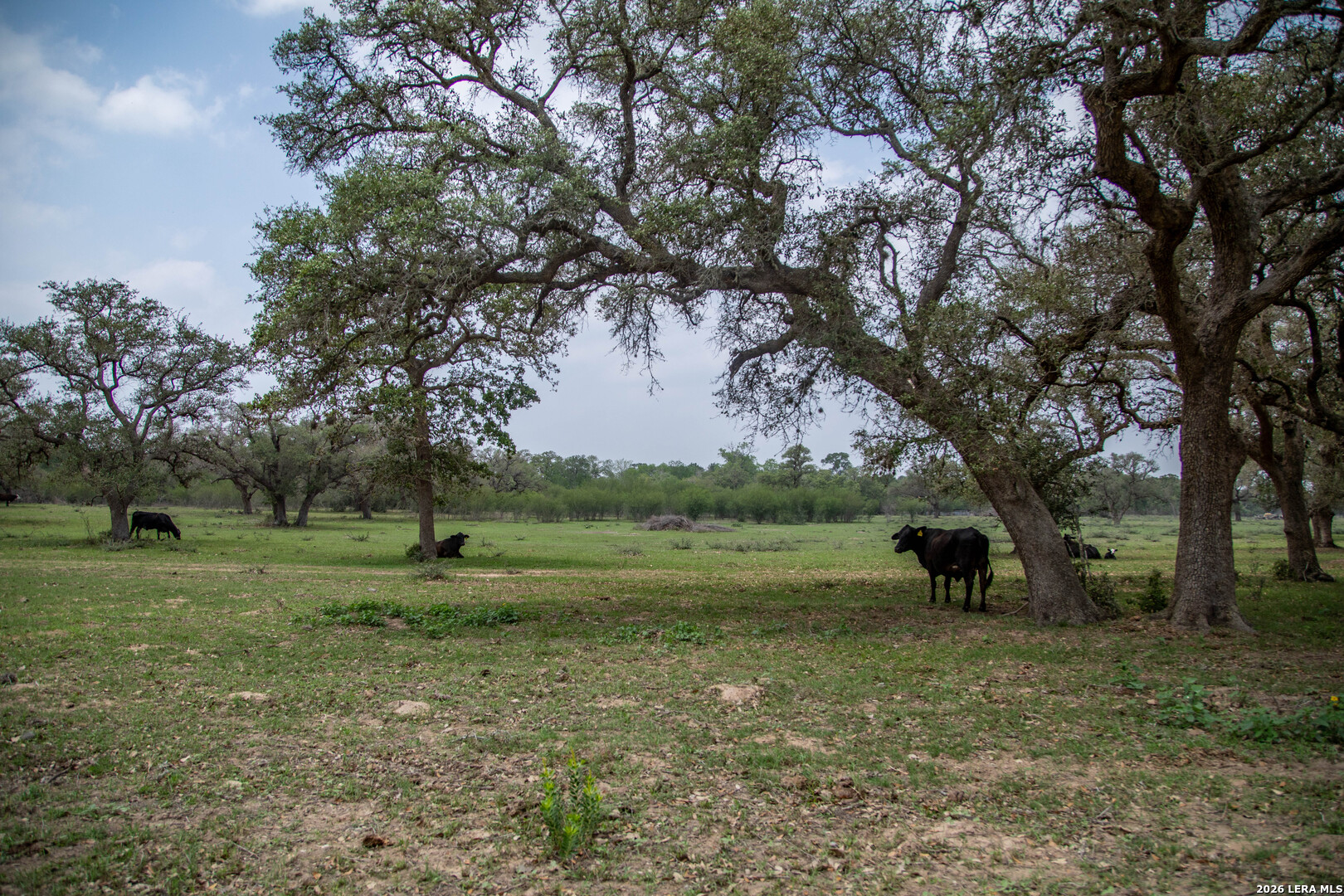0 Golly Cuero TX 77954