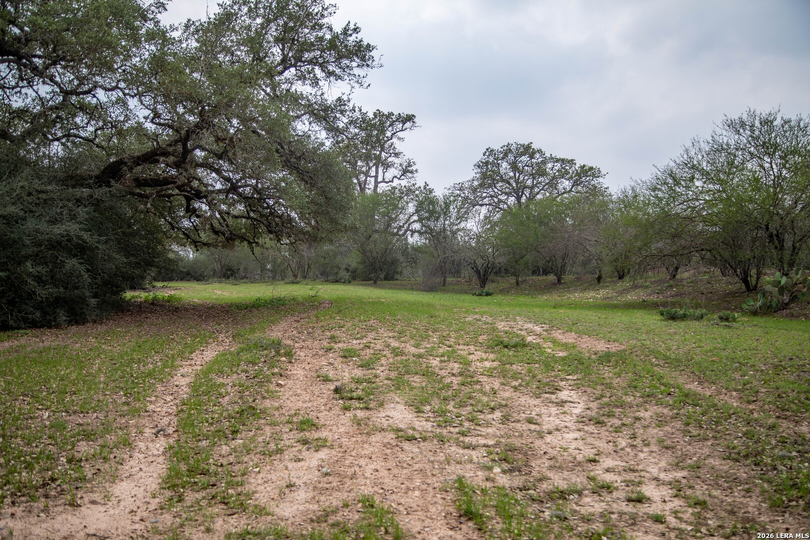 0 Golly Cuero TX 77954