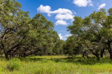 8841 Fm 775 La Vernia TX 78121