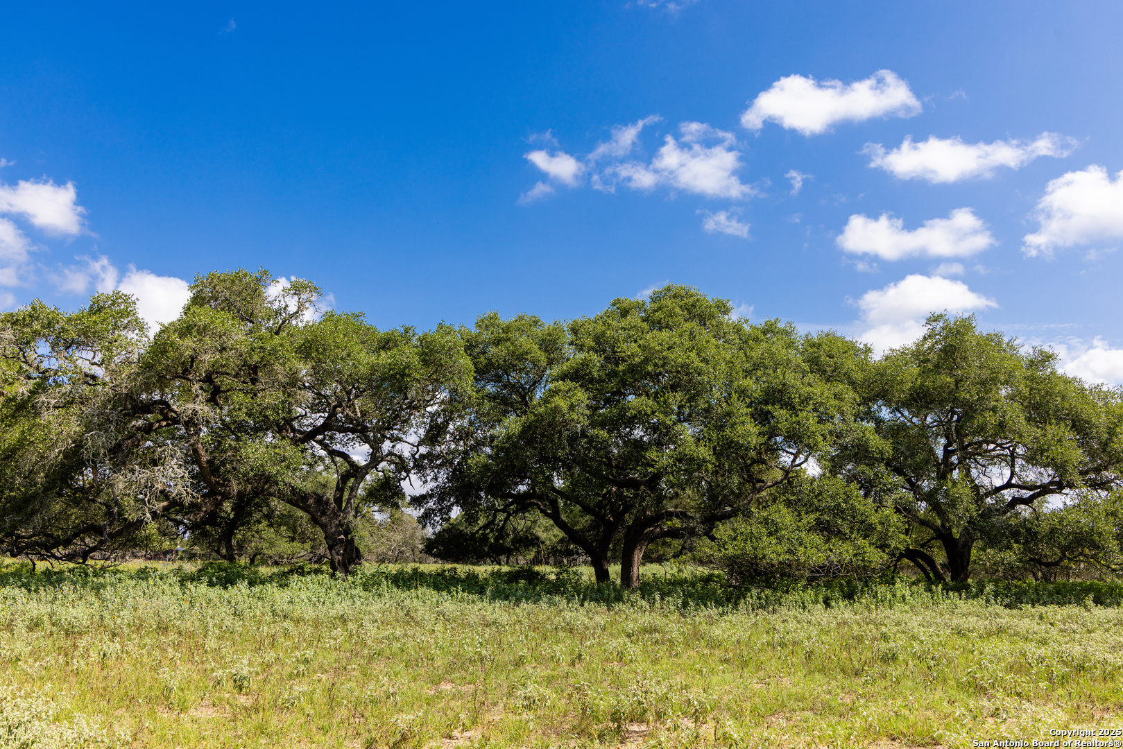 8841 Fm 775 La Vernia TX 78121