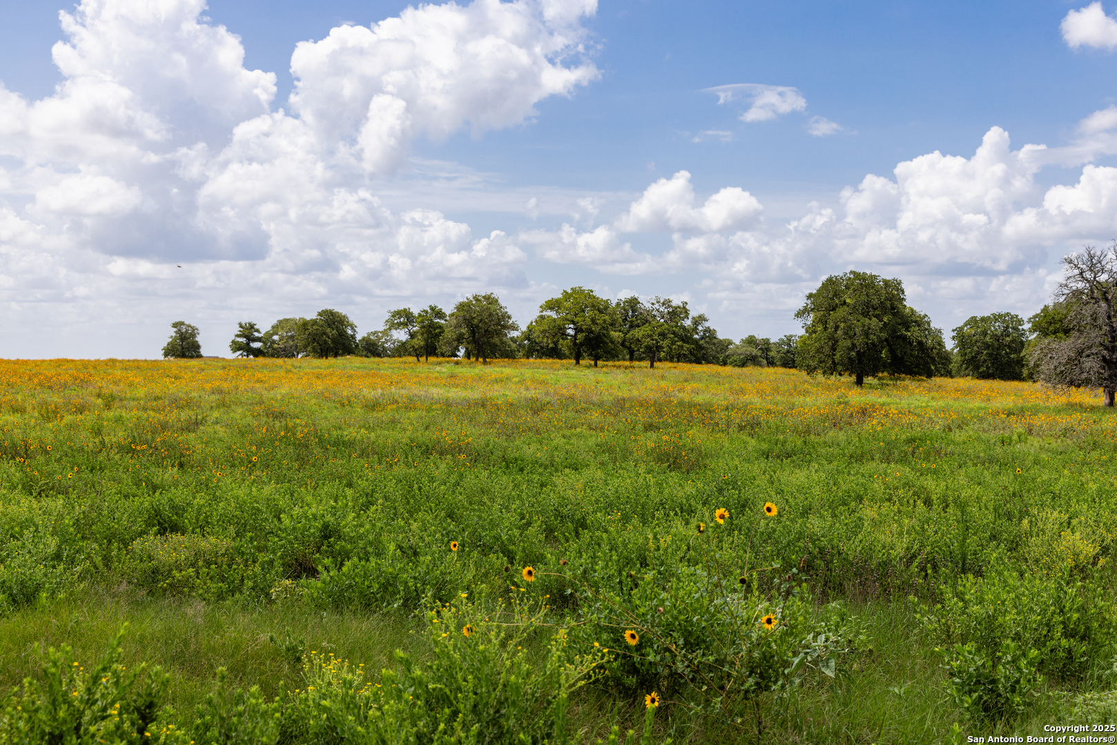 8841 Fm 775 La Vernia TX 78121