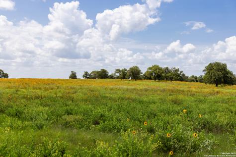 8841 Fm 775 La Vernia TX 78121