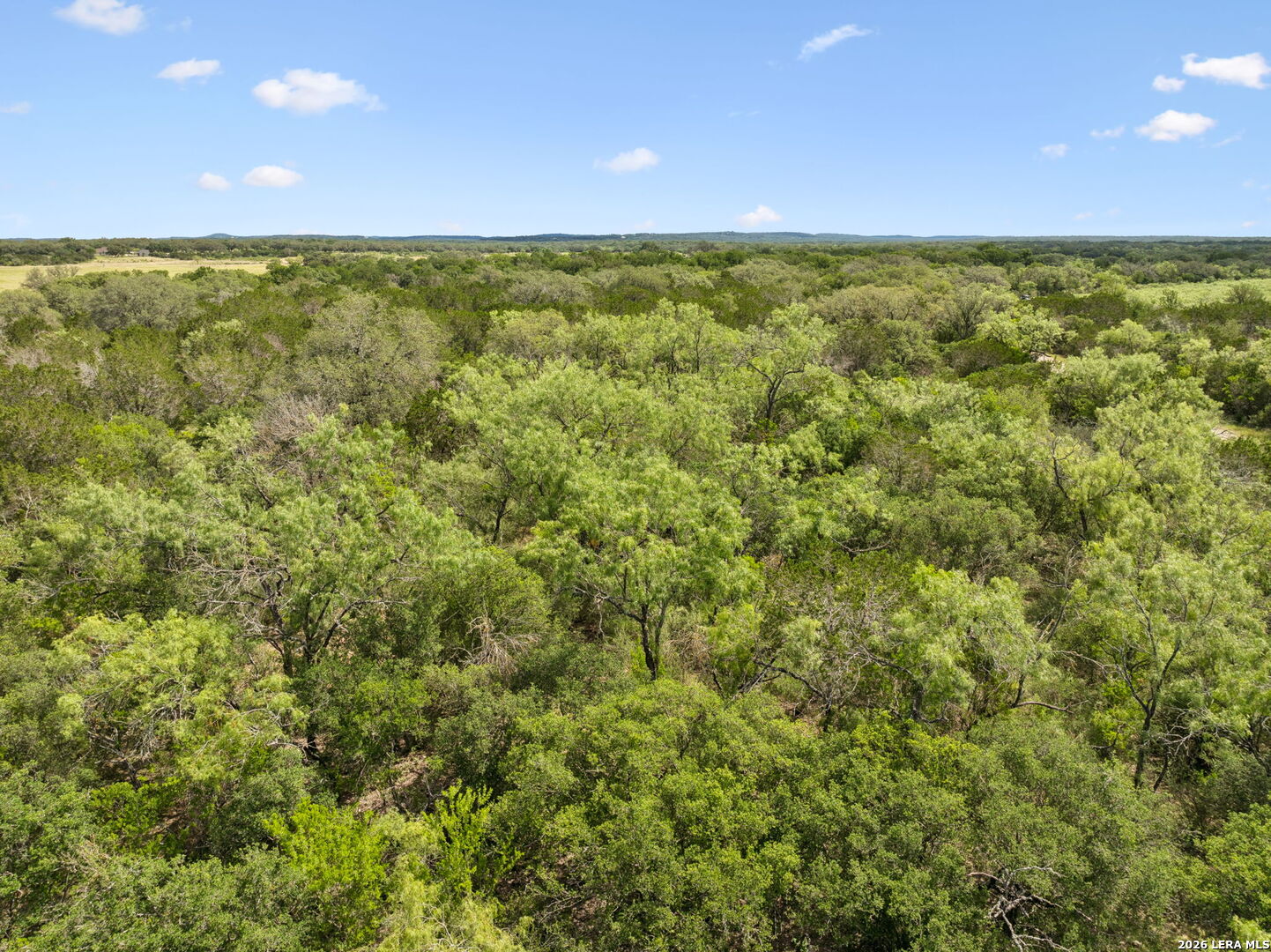 547 County Road 3401 Hondo TX 78861