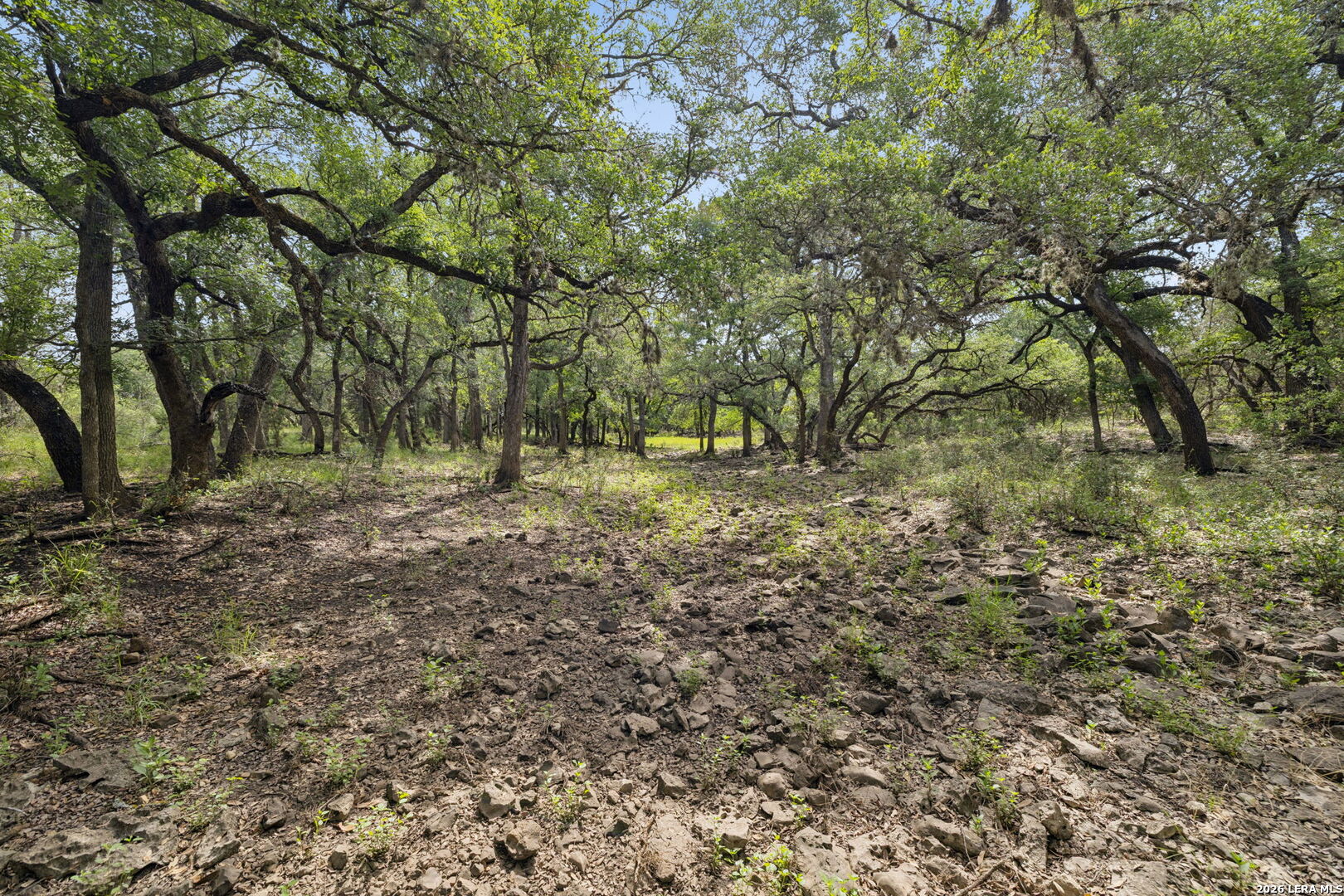 547 County Road 3401 Hondo TX 78861