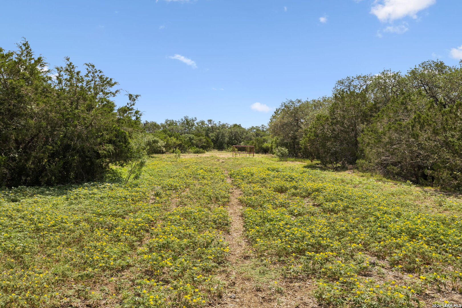 547 County Road 3401 Hondo TX 78861