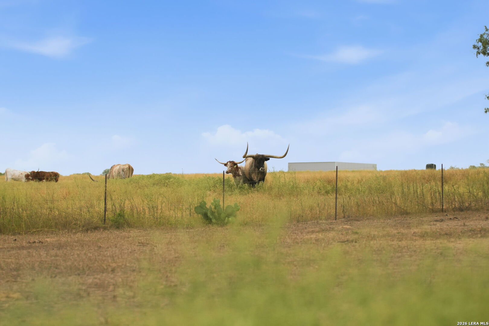 1539 County Road 188 Karnes City TX 78118