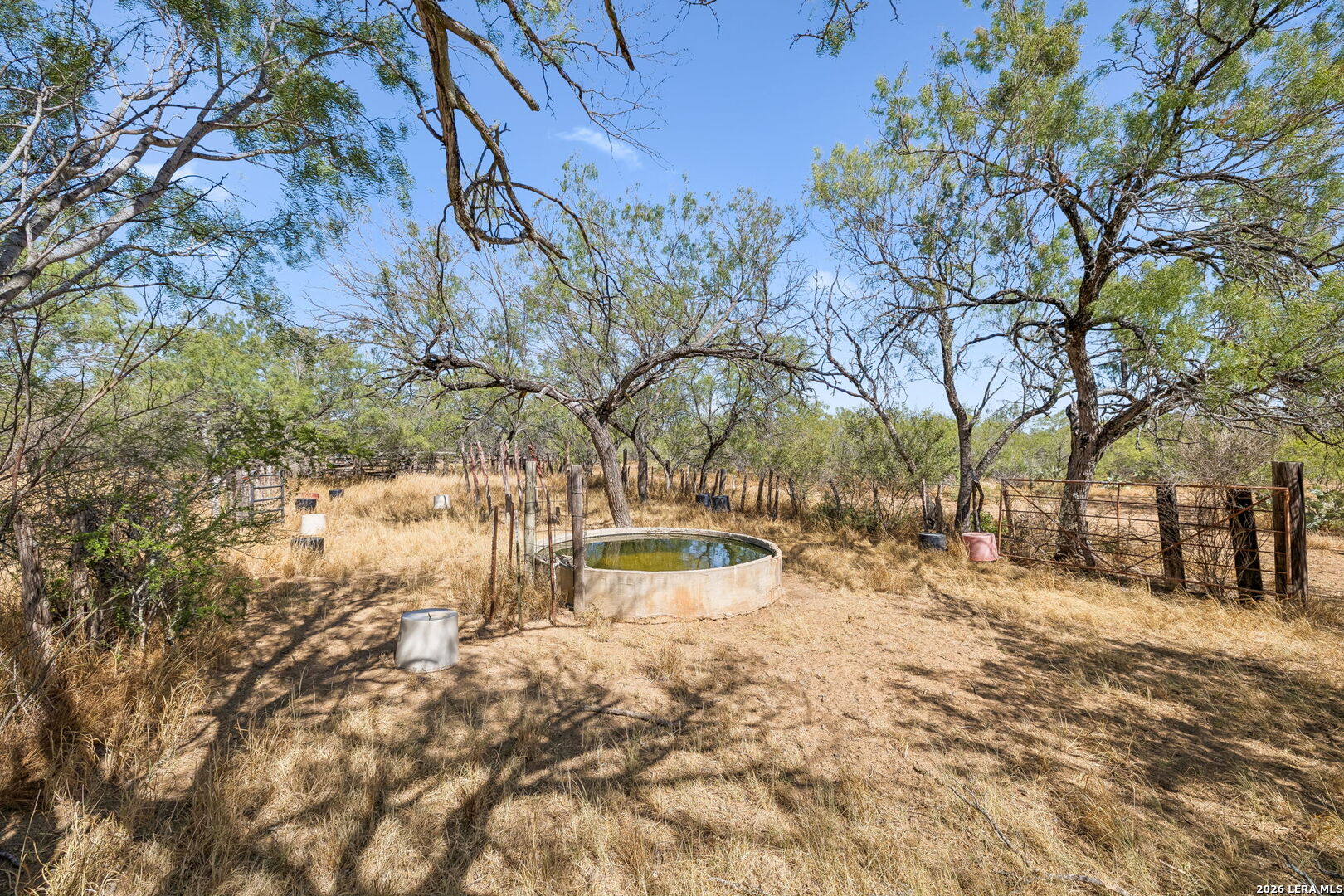 1066 Raices Road Encinal TX 78019