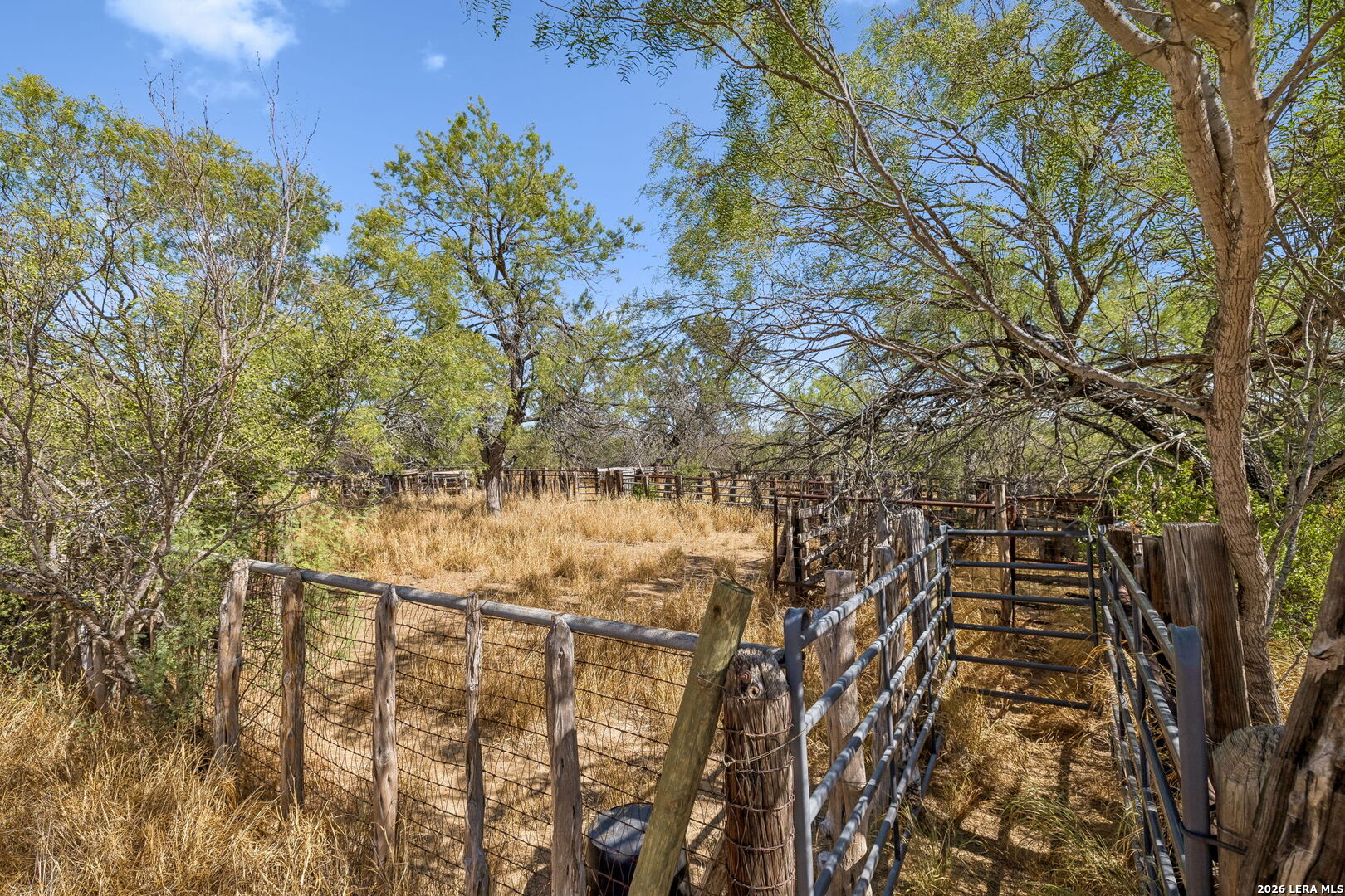 1066 Raices Road Encinal TX 78019