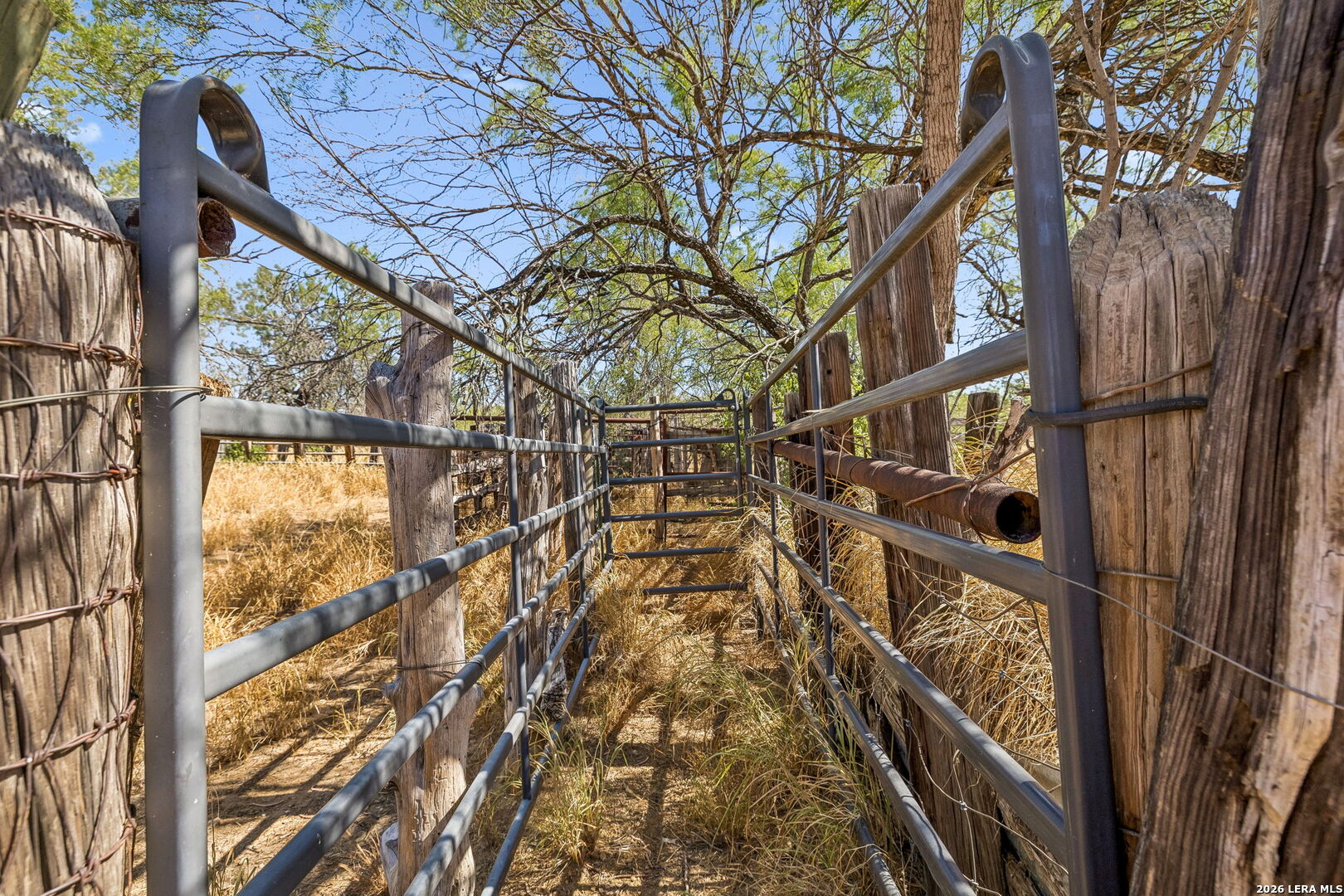 1066 Raices Road Encinal TX 78019