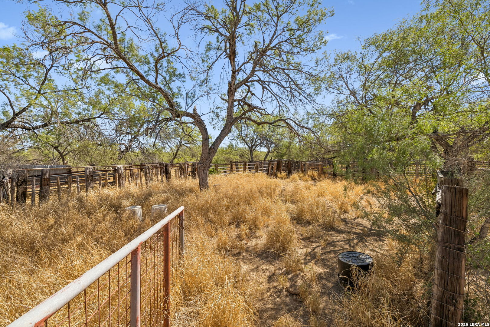 1066 Raices Road Encinal TX 78019