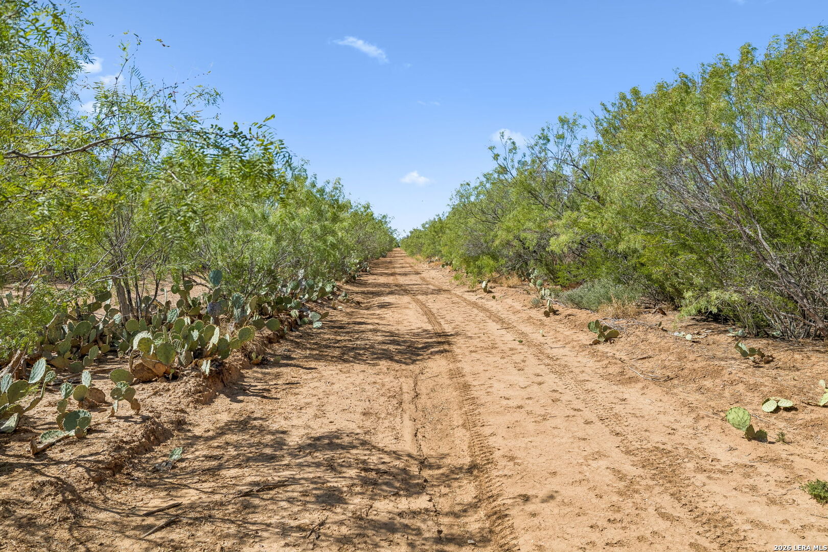 1066 Raices Road Encinal TX 78019