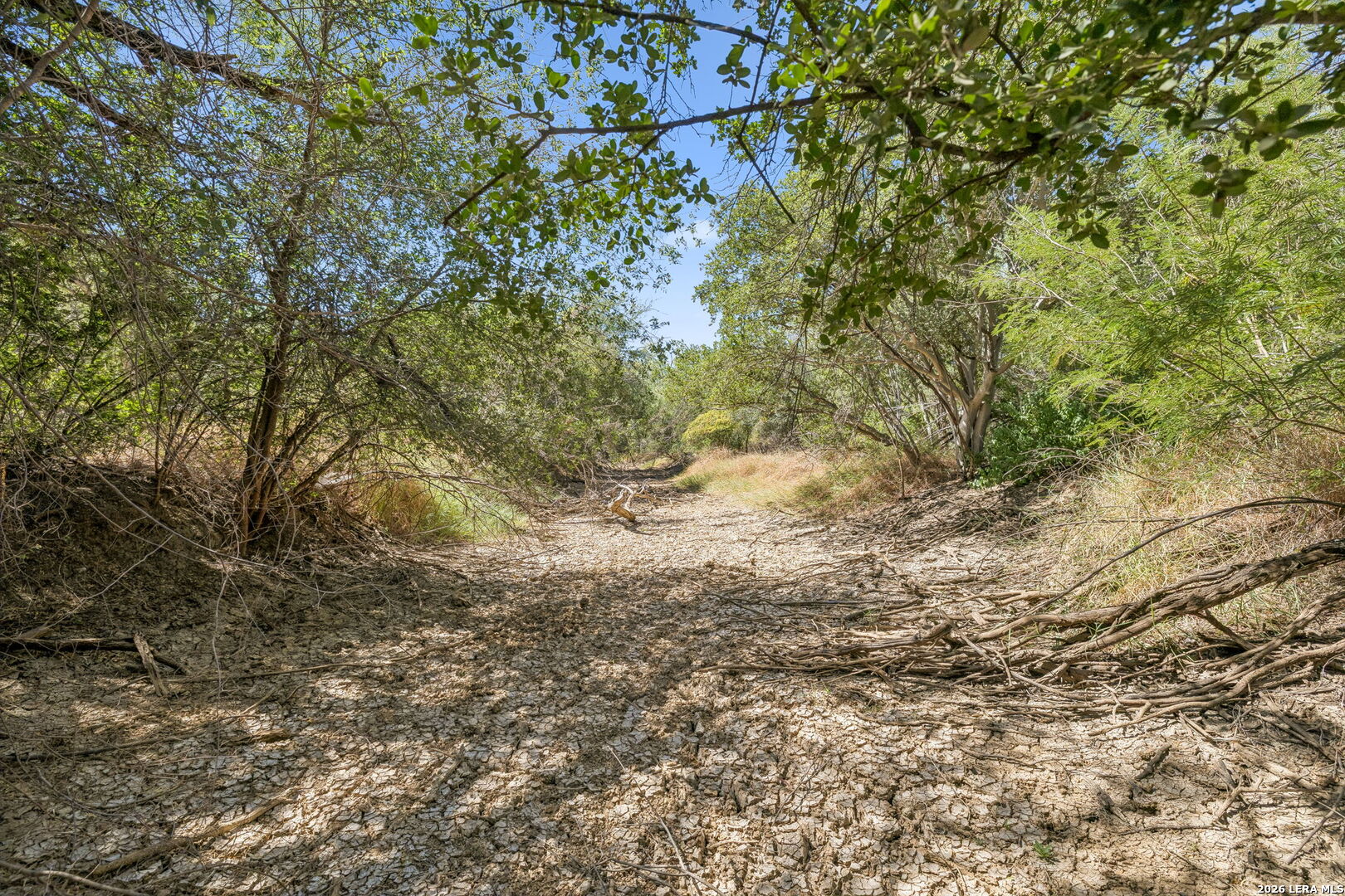 1066 Raices Road Encinal TX 78019