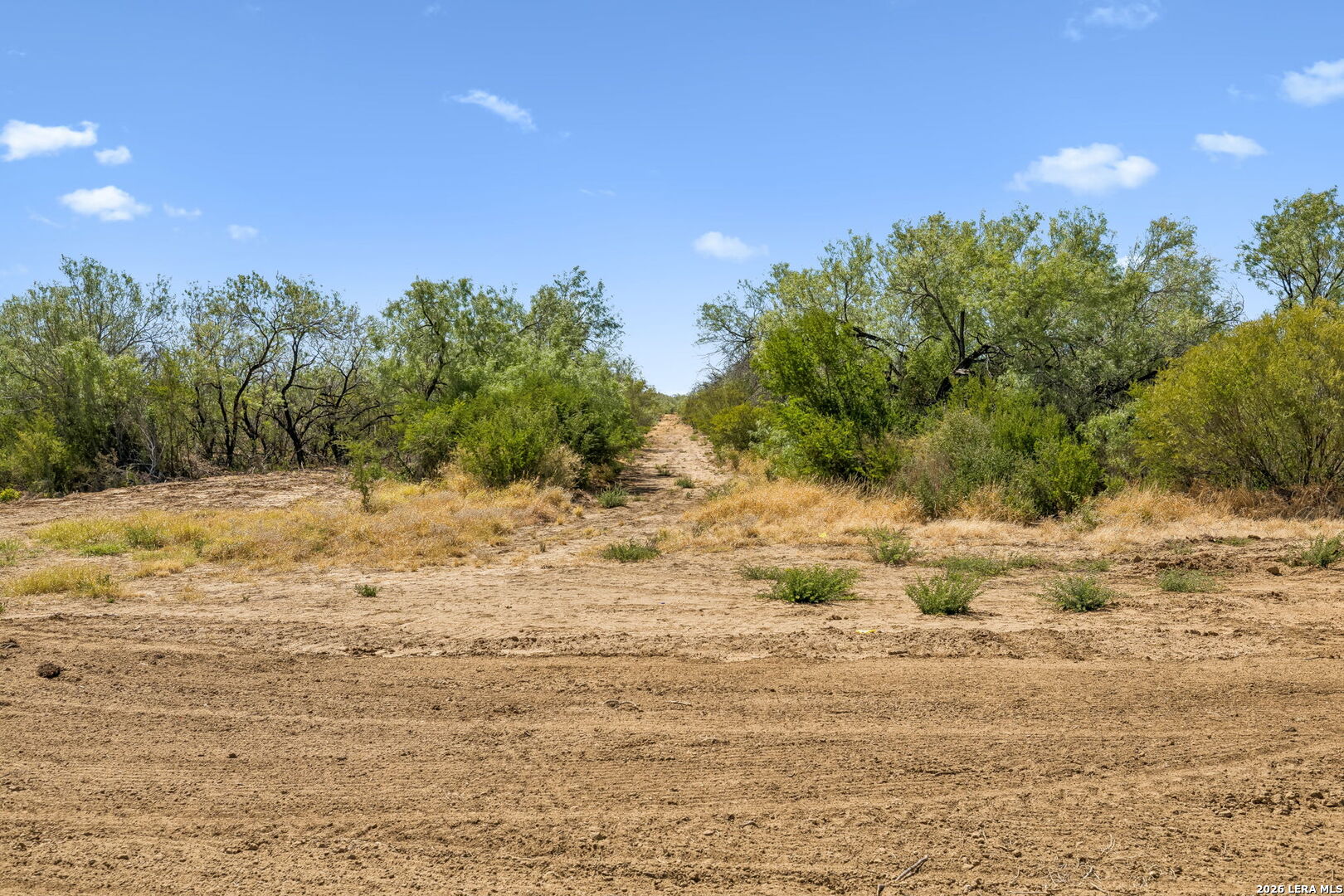 1066 Raices Road Encinal TX 78019