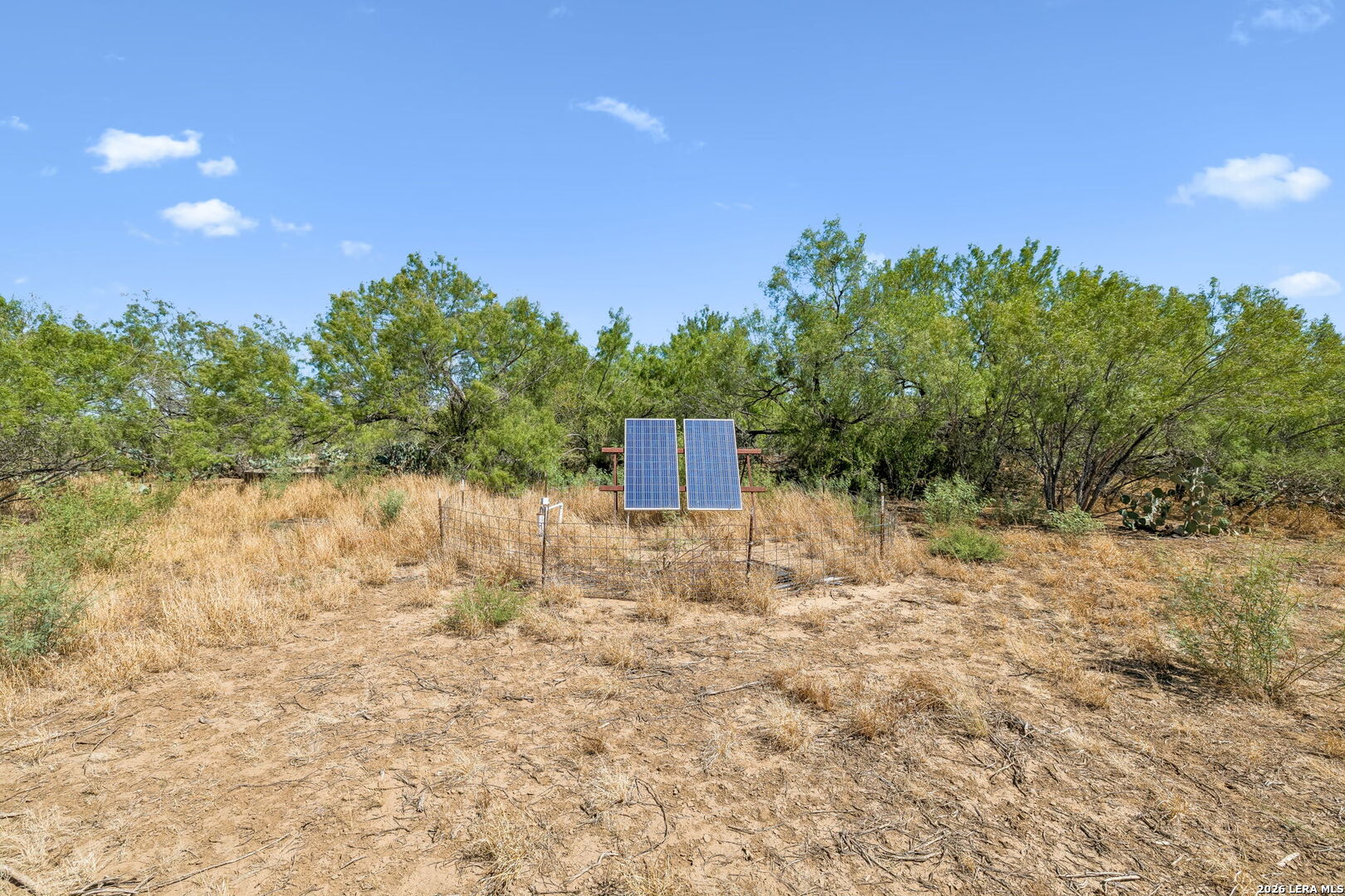 1066 Raices Road Encinal TX 78019