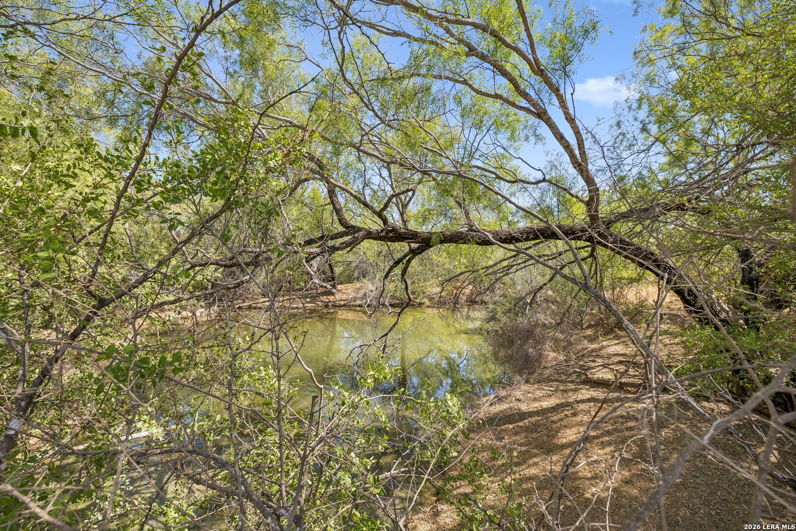 1066 Raices Road Encinal TX 78019