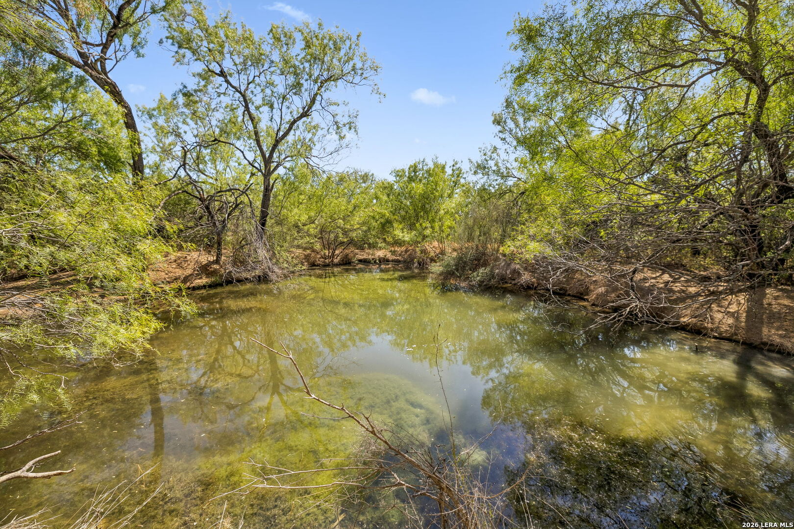 1066 Raices Road Encinal TX 78019