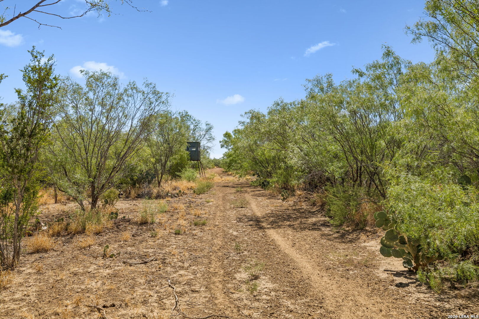 1066 Raices Road Encinal TX 78019