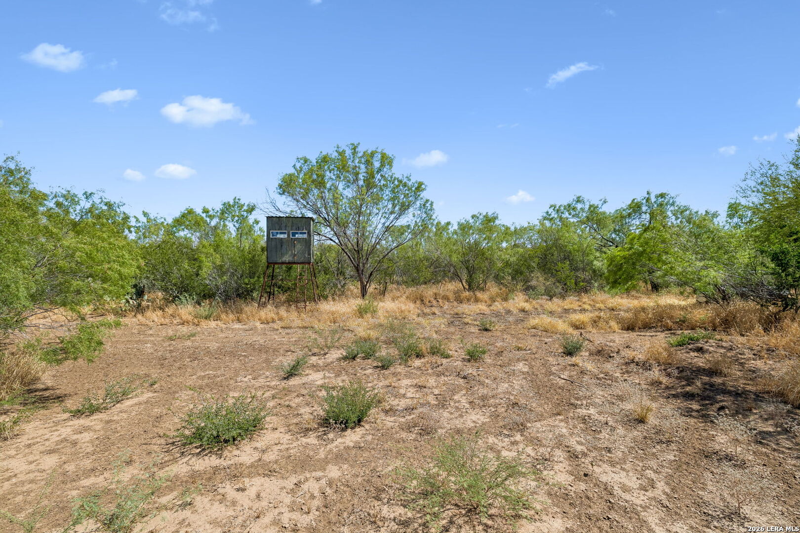 1066 Raices Road Encinal TX 78019