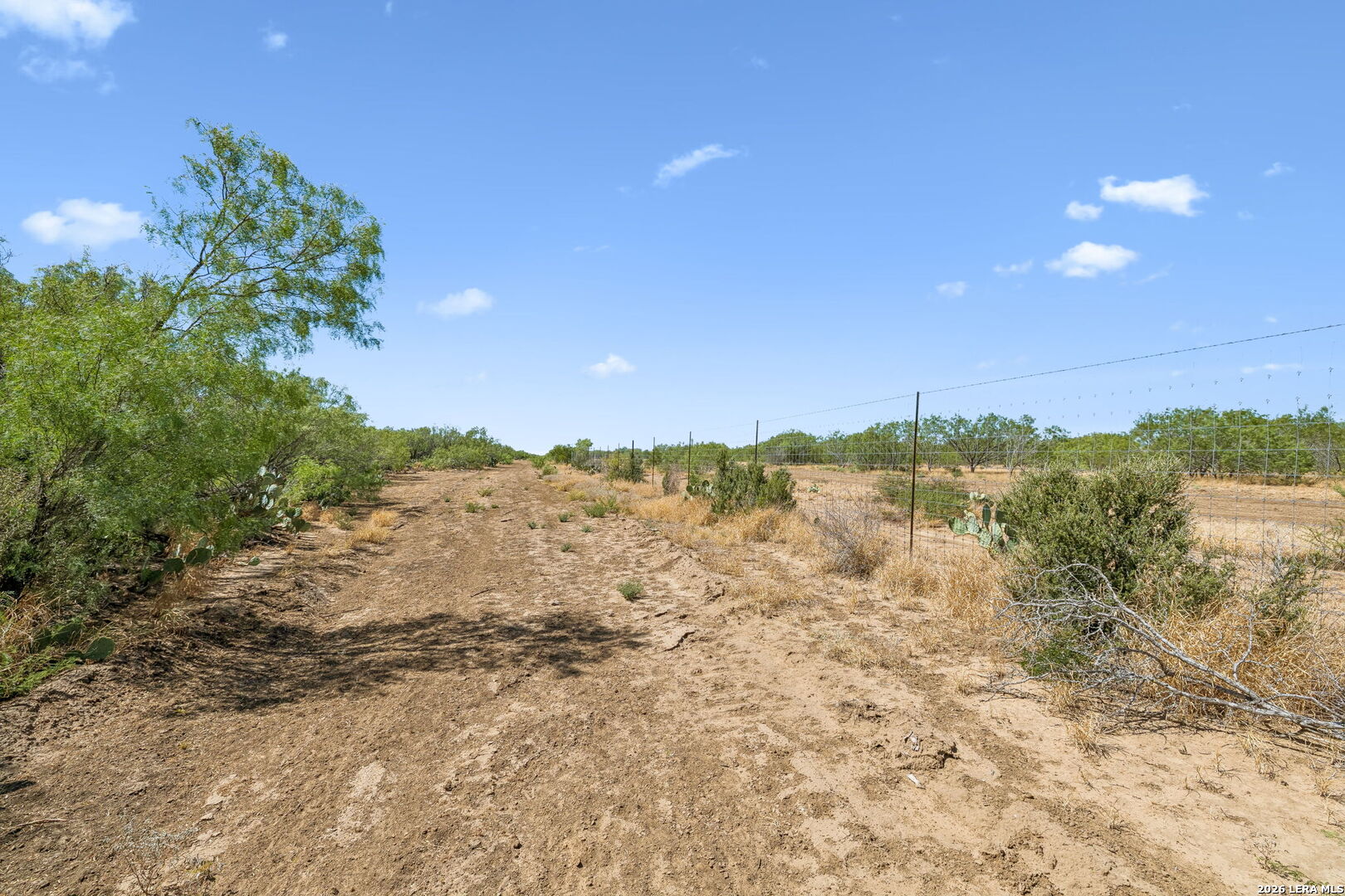 1066 Raices Road Encinal TX 78019