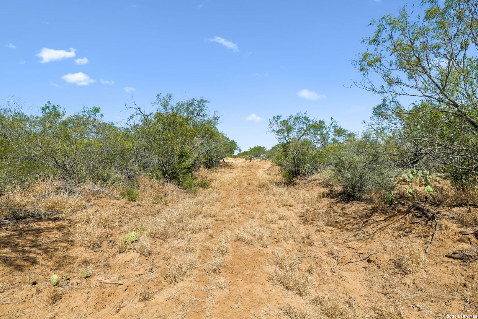1066 Raices Road Encinal TX 78019