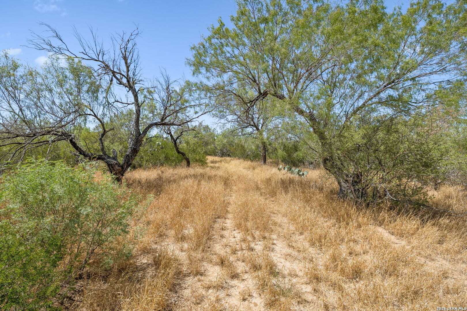 1066 Raices Road Encinal TX 78019