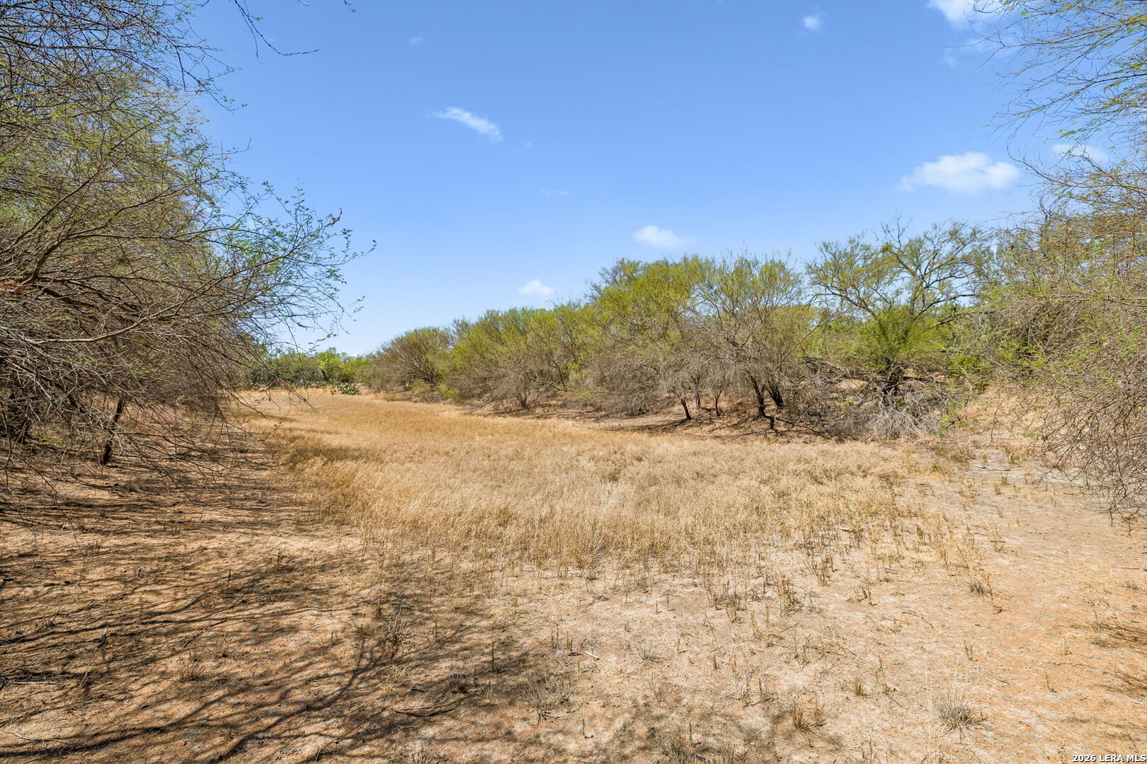 1066 Raices Road Encinal TX 78019