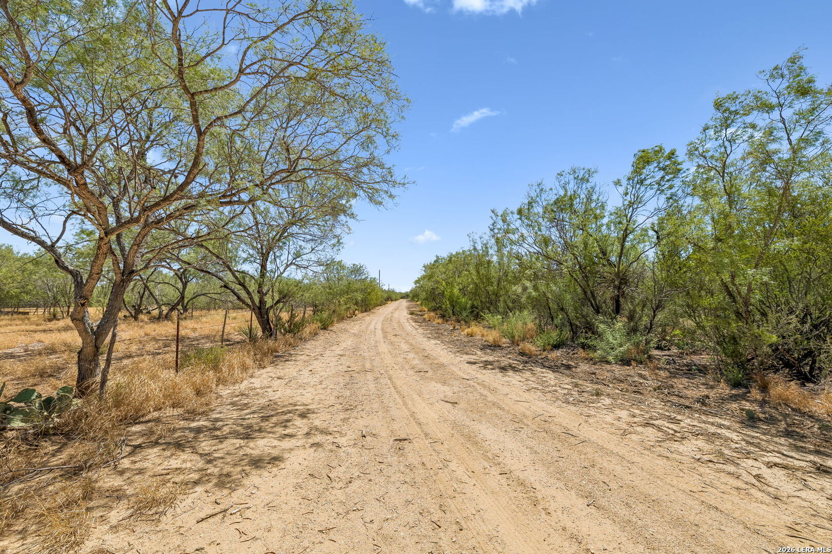 1066 Raices Road Encinal TX 78019