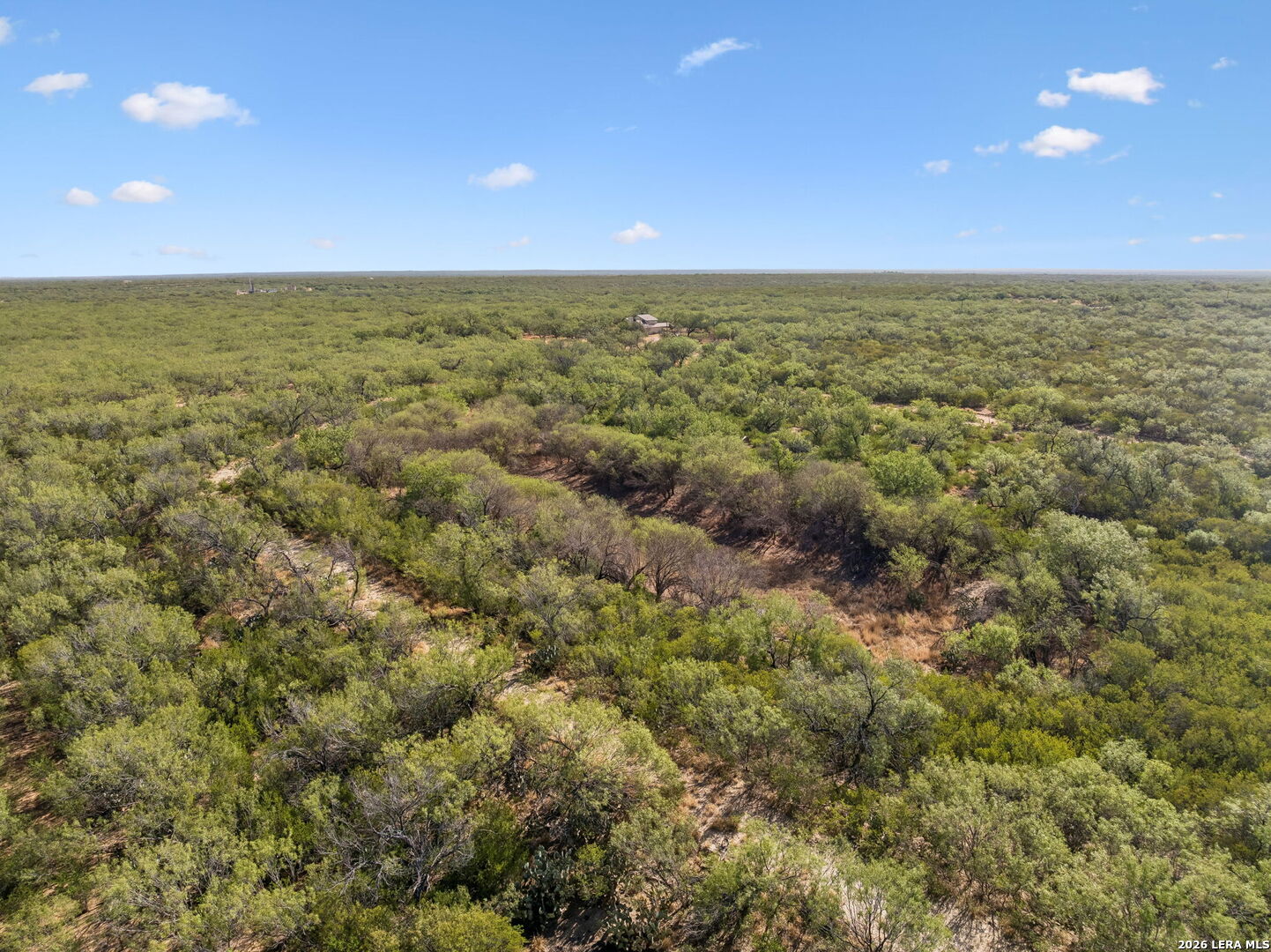 1066 Raices Road Encinal TX 78019