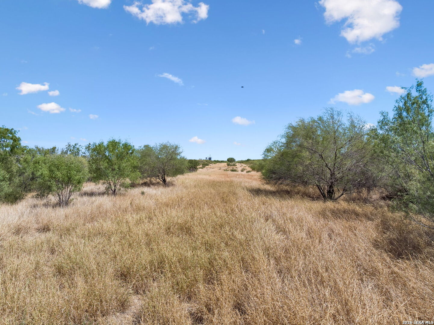 1066 Raices Road Encinal TX 78019