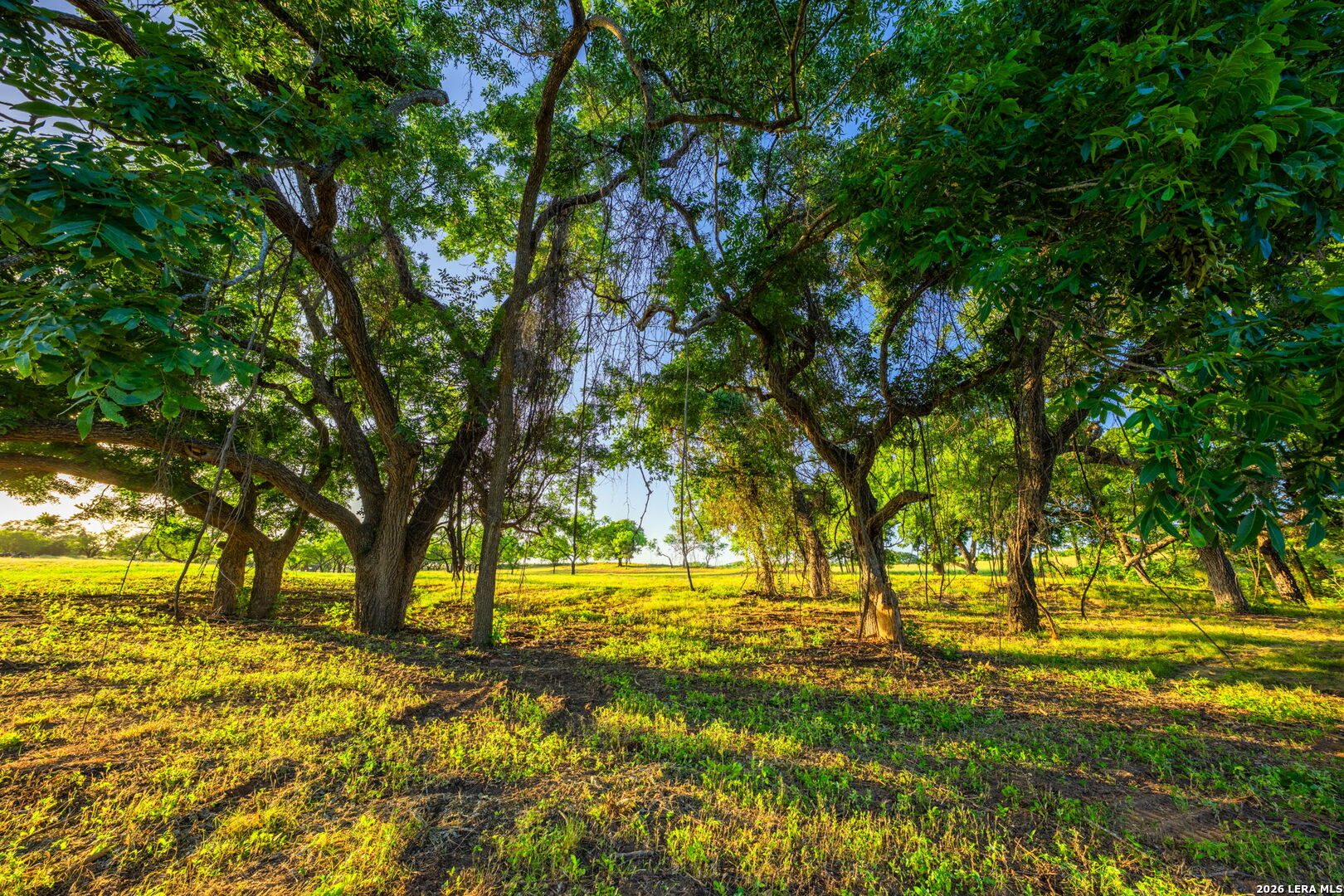 3841 W Us Highway 290 Fredericksburg TX 78624
