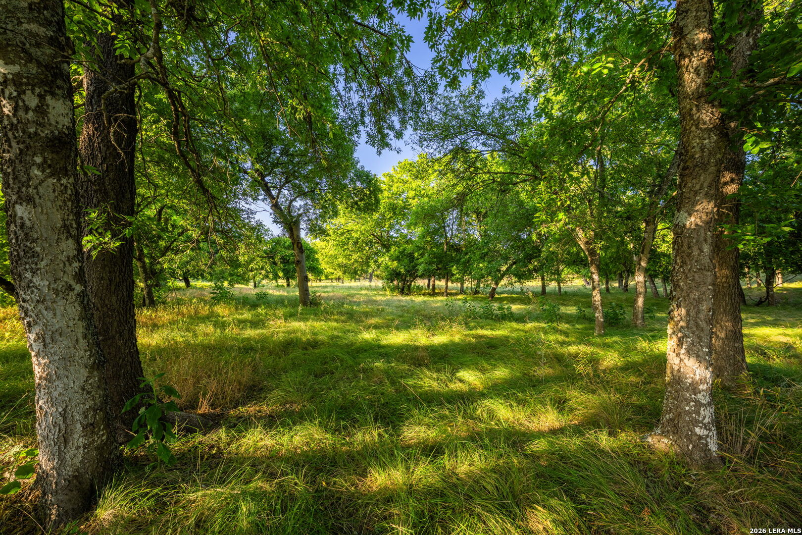 3841 W Us Highway 290 Fredericksburg TX 78624