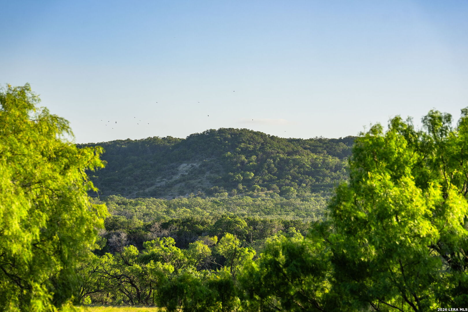 3841 W Us Highway 290 Fredericksburg TX 78624