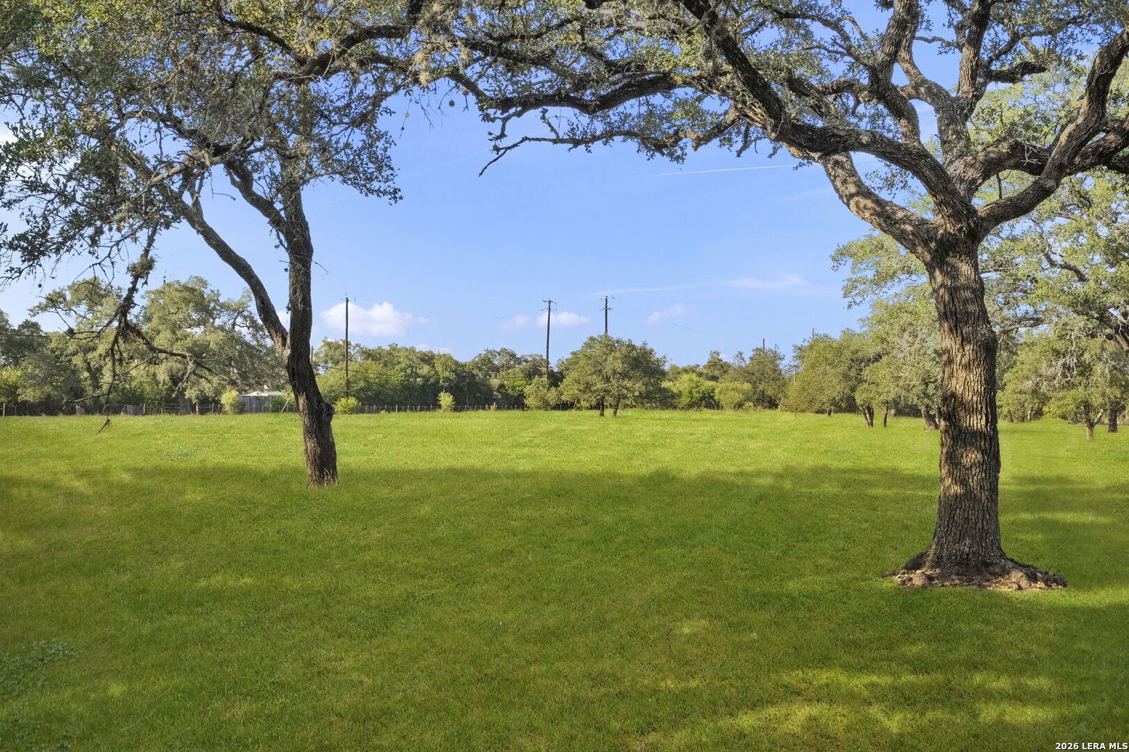 22050 Hanging Oak San Antonio TX 78266