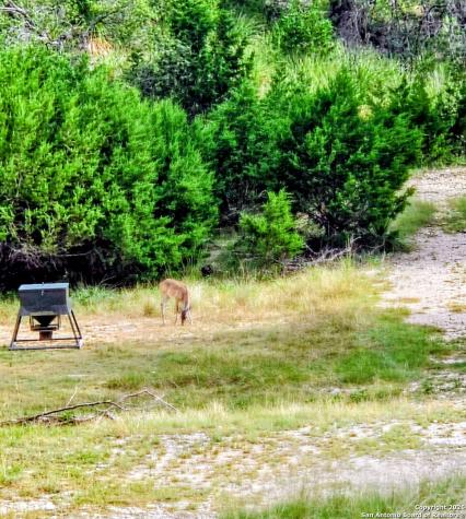 4462 Cr 390 Camp Wood TX 78828
