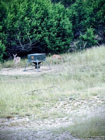 4462 Cr 390 Camp Wood TX 78828